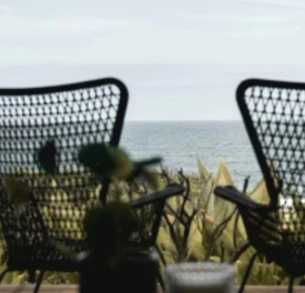 Wicker vs Rattan vs Cane Furniture
